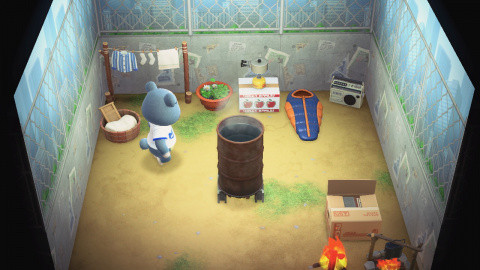 Animal Crossing New Horizons: Help!  My villager's house is ugly, what to do?